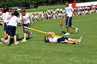 �R�N���q�c�Z�̎ʐ^04