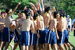 �R�N�j�q�c�Z�̎ʐ^04