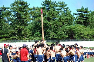 �R�N�j�q�c�Z�̎ʐ^02