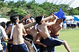 �R�N�j�q�c�Z�̎ʐ^01