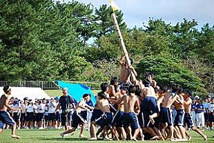 �R�N�j�q�c�Z�̎ʐ^03