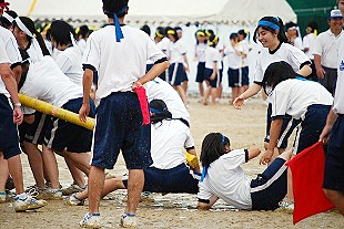 �R�N���q�c�Z�̎ʐ^01