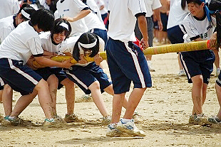 �R�N���q�c�Z�̎ʐ^02