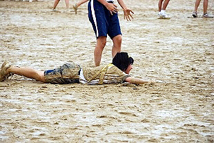 �R�N���q�c�Z�̎ʐ^04