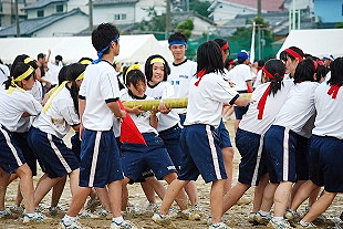 �R�N���q�c�Z�̎ʐ^03