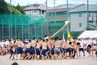 �R�N�j�q�c�Z�̎ʐ^01