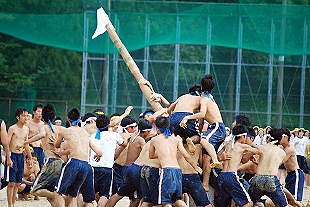 �R�N�j�q�c�Z�̎ʐ^03