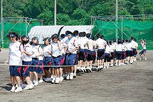 �P�N�c�Z�̎ʐ^01