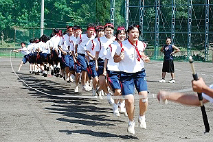 �P�N�c�Z�̎ʐ^02