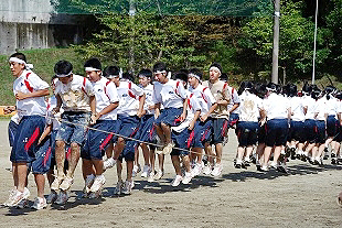 �P�N�c�Z�̎ʐ^03