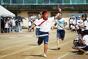 �I�������[�̎ʐ^02