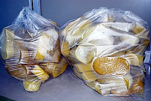 �X�|���W�̎c�[�̎ʐ^