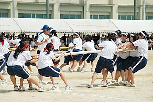 �Q�N���q�c�Z�̎ʐ^01