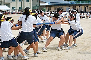 �Q�N���q�c�Z�̎ʐ^02