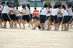 �Q�N���q�c�Z�̎ʐ^04