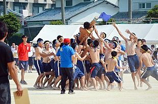 �R�N�j�q�c�Z�̎ʐ^01