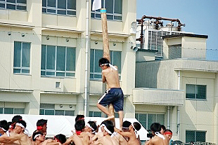 �R�N�j�q�c�Z�̎ʐ^02