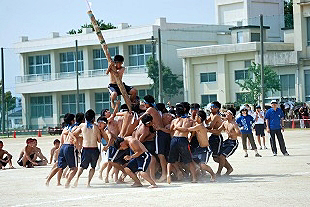 �R�N�j�q�c�Z�̎ʐ^03