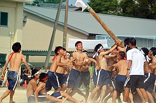 �R�N�j�q�c�Z�̎ʐ^04