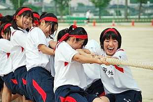 �R�N���q�c�Z�̎ʐ^01