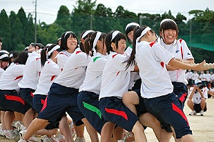 �R�N���q�c�Z�̎ʐ^03