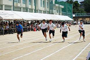 �k�����E�����[�̎ʐ^08