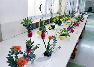 �u�ؓ��� �W���v�ʐ^