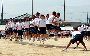 �P�N�c�Z�̎ʐ^04