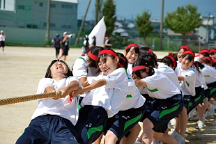 �Q�N���q�c�Z�̎ʐ^02