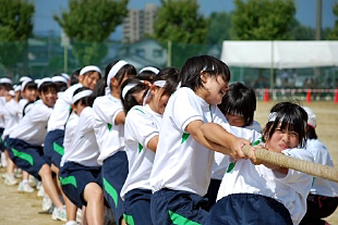 �Q�N���q�c�Z�̎ʐ^03