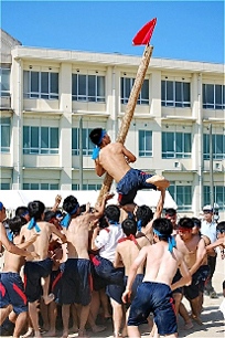 �R�N�j�q�c�Z�̎ʐ^01