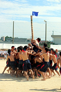 �R�N�j�q�c�Z�̎ʐ^02