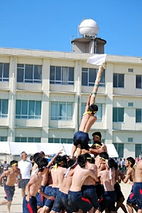 �R�N�j�q�c�Z�̎ʐ^03