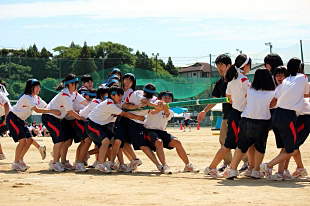 �R�N���q�c�Z�̎ʐ^01