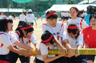 �R�N���q�c�Z�̎ʐ^02