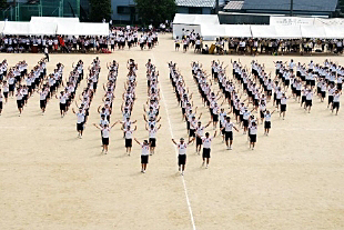 �c���\�̎ʐ^01