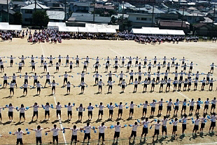 �c���\�̎ʐ^08