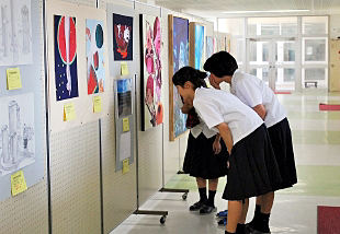 �u���p�� �W���v�ʐ^