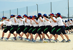 �R�N�c�Z�̎ʐ^01