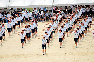 �c���\�̎ʐ^07