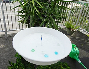 �u�������D�� �W���v�ʐ^