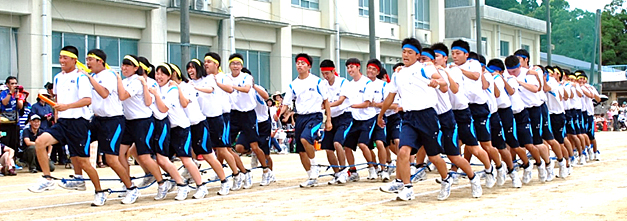 �R�N�c�Z�̎ʐ^01