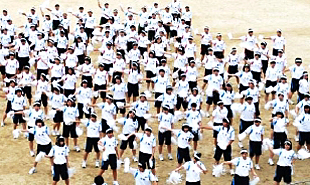 �c���\�̎ʐ^04