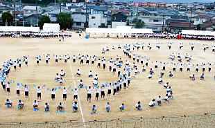 �c���\�̎ʐ^05