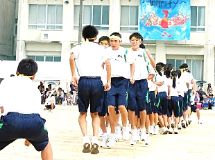 �P�N�c�Z�̎ʐ^01