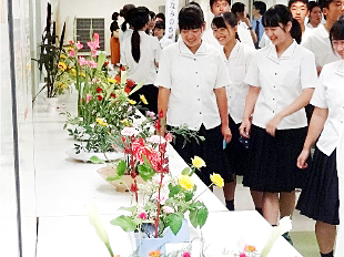 �u�ؓ��� �W���v�ʐ^