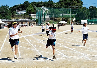 �k���̎ʐ^01