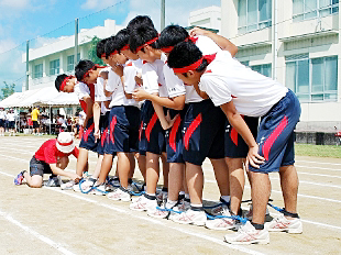 �R�N�c�Z�̎ʐ^01