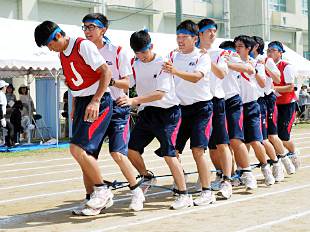 �R�N�c�Z�̎ʐ^02