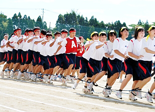 �R�N�c�Z�̎ʐ^03